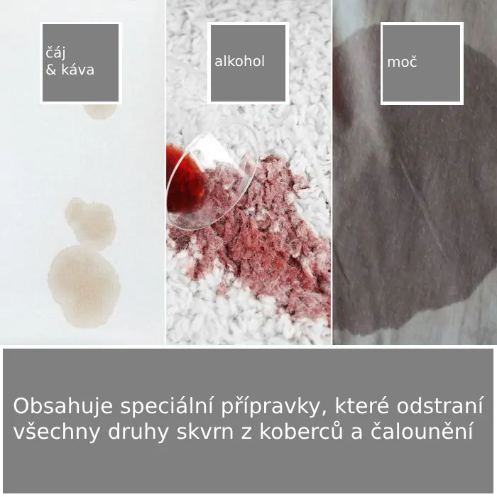 Sada na odstranění skvrn z koberce a čalounění