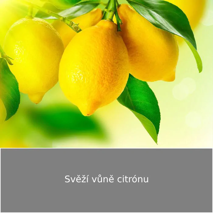 Čistič kamene a dlaždic