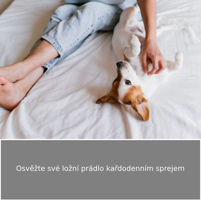 Čistič a osvěžovač matrací